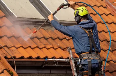 Démoussage et hydrofuge de toiture à Mesples